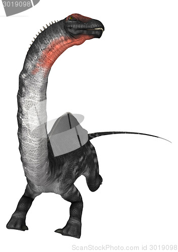 Image of Dinosaur Apatosaurus