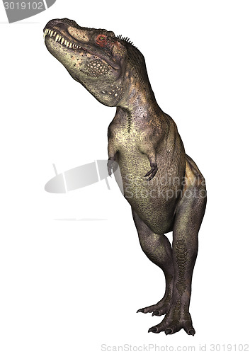 Image of Dinosaur Tyrannosaurus