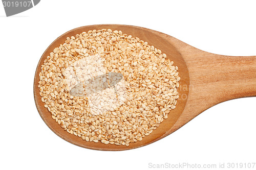 Image of Spoonful of toasted sesame seeds