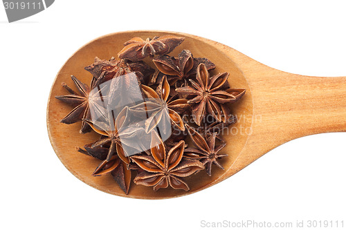 Image of Spoon with star anise