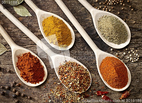 Image of various kinds of spices