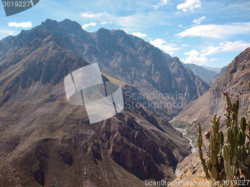 Image of Colca Canyon