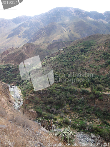 Image of Colca Canyon