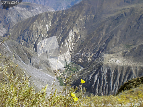 Image of Colca Canyon