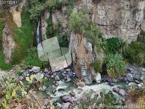 Image of vegetation at Colca Canyon