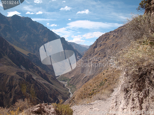 Image of Colca Canyon