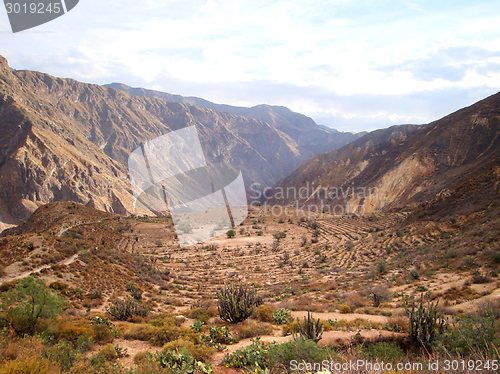 Image of Colca Canyon