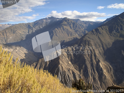 Image of Colca Canyon