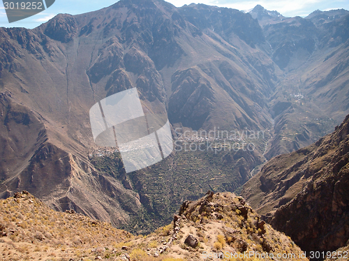 Image of Colca Canyon