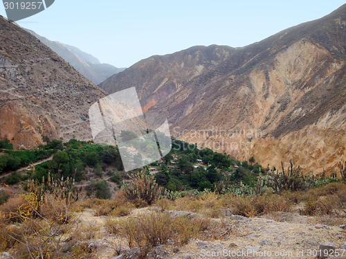 Image of Colca Canyon