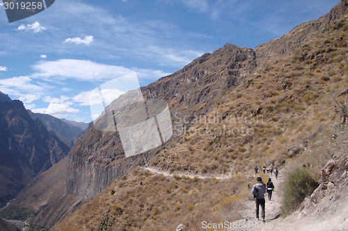 Image of Colca Canyon