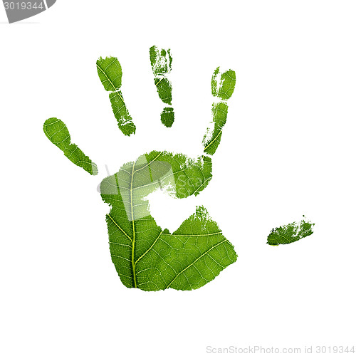 Image of Handprint with green leaf texture. Isolated on white.