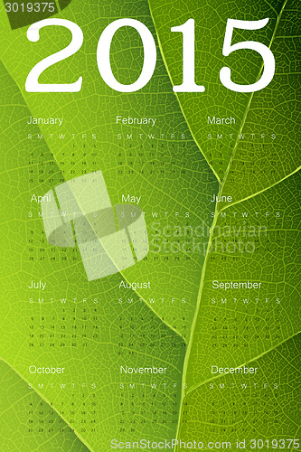 Image of Calendar 2015 on green leaf texture. Vector