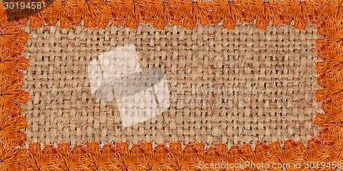 Image of Frame from the yellow leaves on the sacking