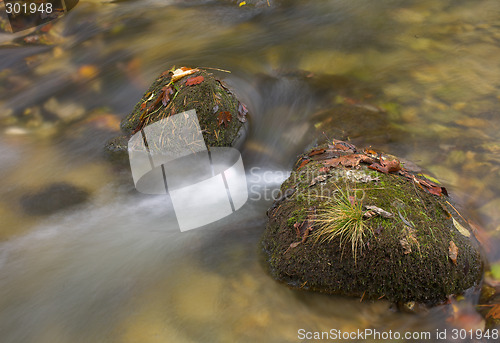 Image of Rocks in a stream