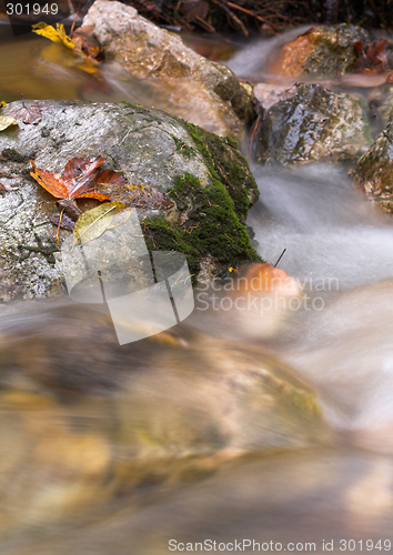 Image of Rocks in a stream