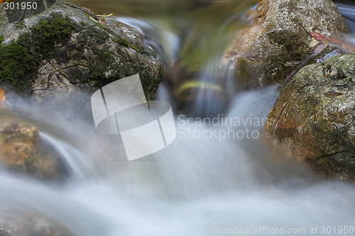 Image of Rocks in a stream