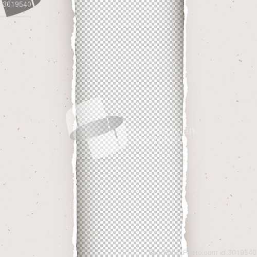 Image of Torn papers background. Vector, EPS10