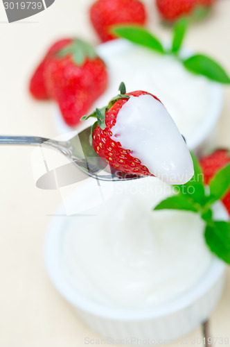 Image of organic Greek yogurt and strawberry