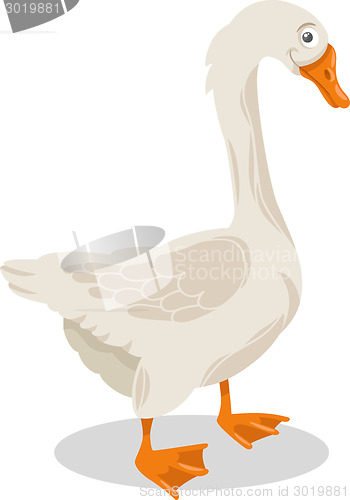 Image of goose farm bird cartoon illustration