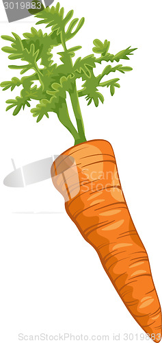 Image of carrot root vegetable cartoon illustration
