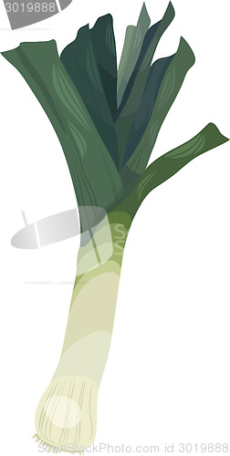 Image of leek vegetable cartoon illustration