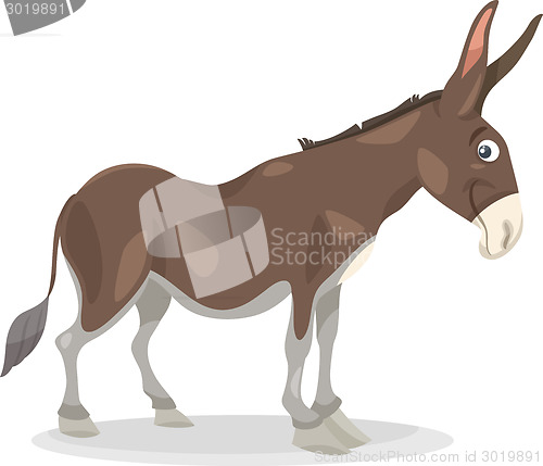 Image of funny donkey cartoon illustration