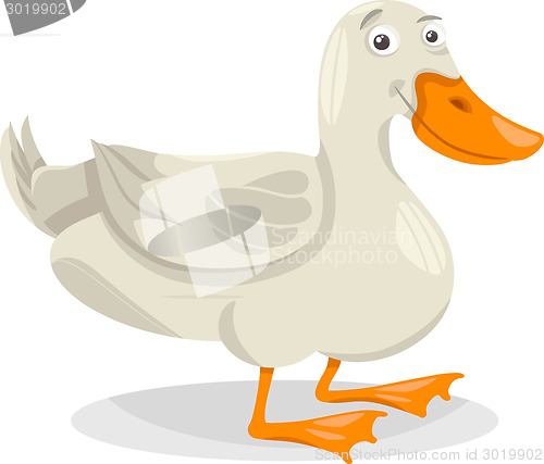 Image of duck farm bird cartoon illustration