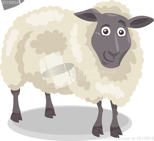 Image of sheep farm animal cartoon illustration