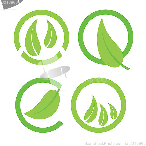 Image of leaf icons