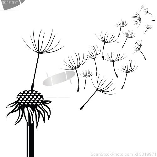 Image of silhouette of dandelion
