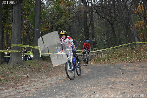 Image of Cycle race