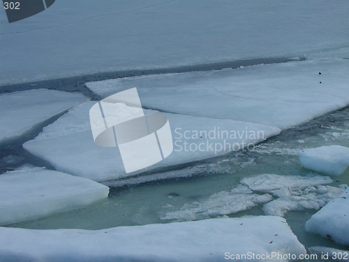 Image of Ice floes