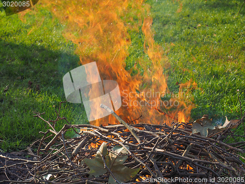 Image of Burning fire