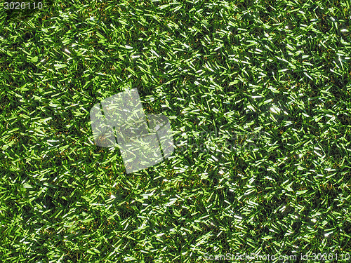 Image of Artificial grass