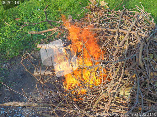 Image of Burning fire