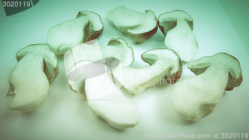 Image of Retro look Porcini Mushroom