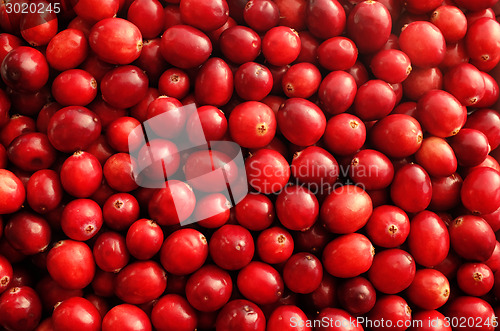 Image of Fresh red cranberries background
