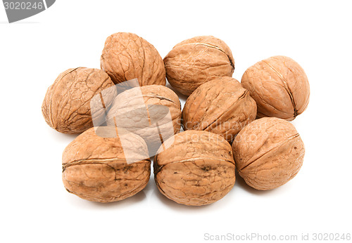 Image of Walnuts in shells
