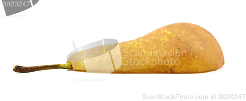 Image of Half a Conference pear, lying flat