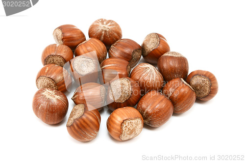 Image of Hazelnuts in shells