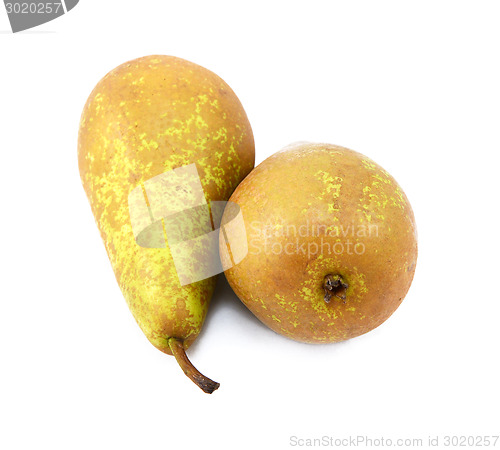 Image of A pair of Conference pears lying end to end