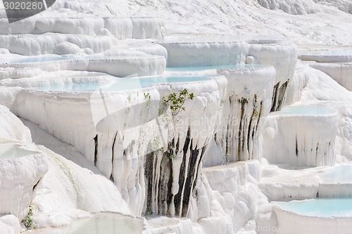 Image of Travertine pools and terraces in Pamukkale, Turkey