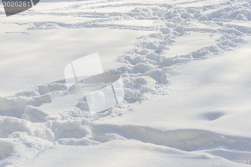 Image of tracks on the snow