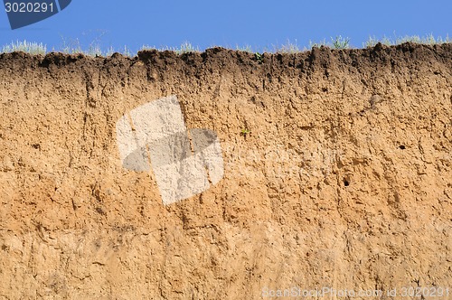 Image of Layered cut of soil