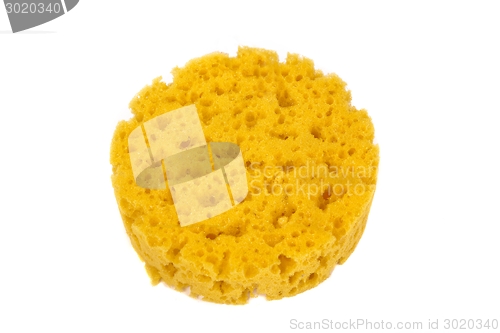 Image of Synthetic bath sponge