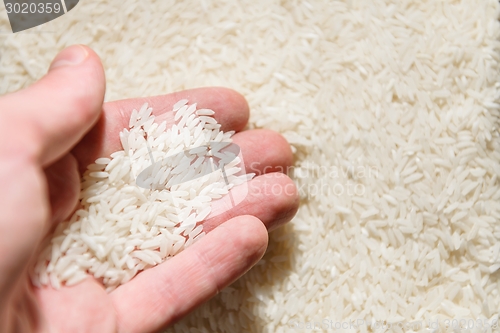 Image of White rice background