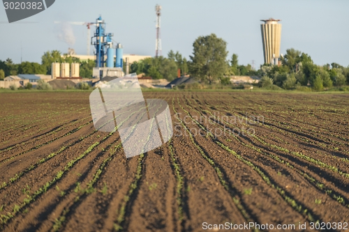 Image of Cultivated land angle shot