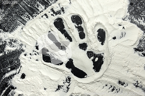 Image of Hand prints in flour