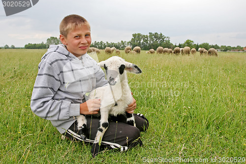 Image of Close up of boy holding goatling